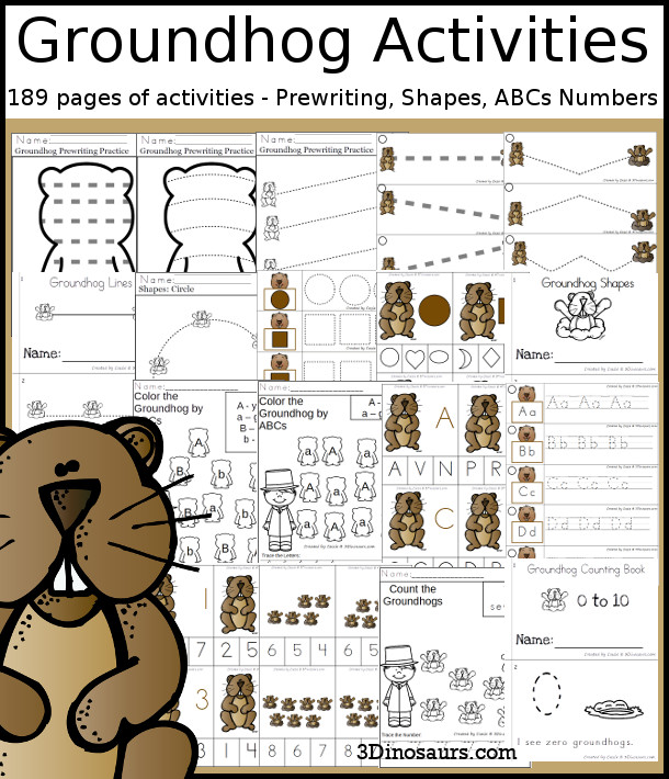Groundhog Activities Pack with Prewriting, Shapes, ABCs, and Numbers - 191 pages of activities with no-prep pages, clip cards and tracing strips to help with learning skills. A great addition to any groundhog day theme you do. - 3Dinosaurs.com