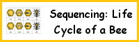 Sequencing: Life Cycle of a Bee