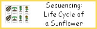 Sequencing: Sunflower Life Cycle